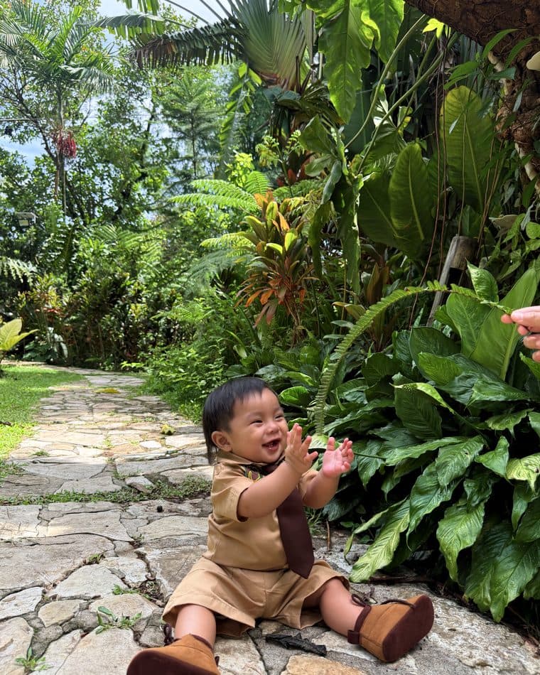 Jungle giggles