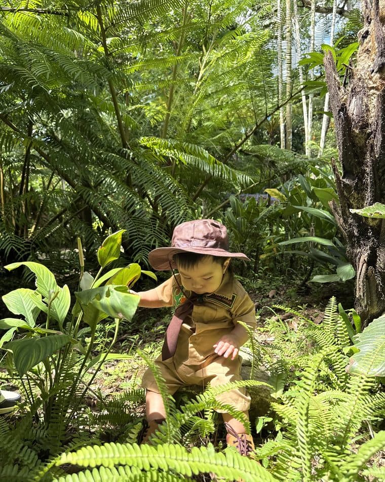 Deep in the ferns